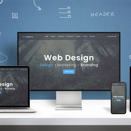 Website Design & Development