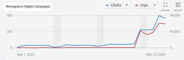 Within the first month of our shift in strategy, Rhinogram saw a 161% increase in ad-driven leads and 249% ROI.