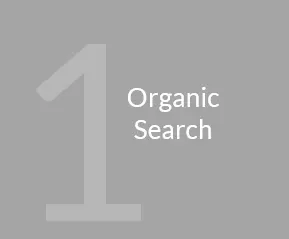 One Organic Search